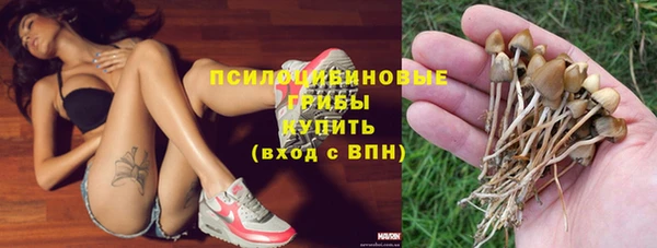 мдпв Зерноград